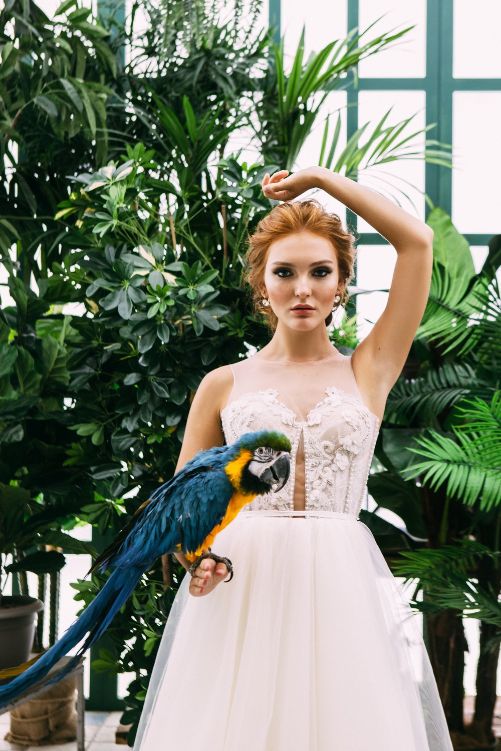 Wedding collections