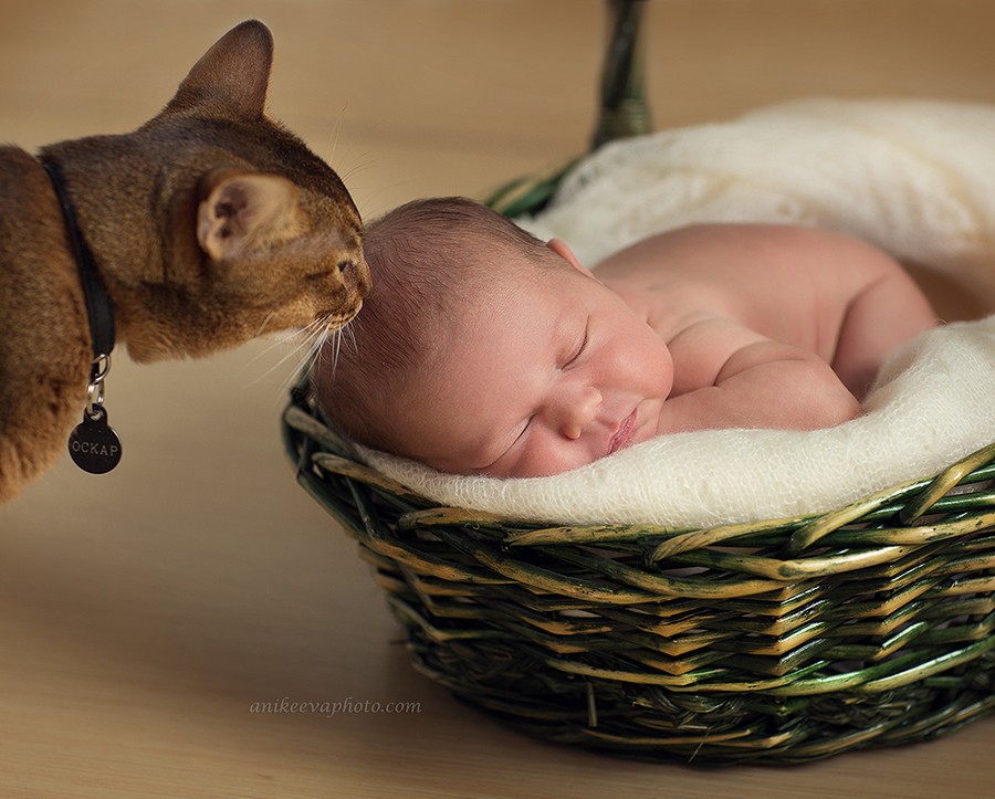 Малыши до года