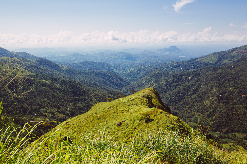 SRI LANKA