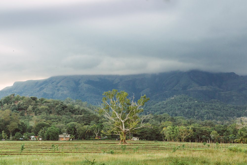 SRI LANKA