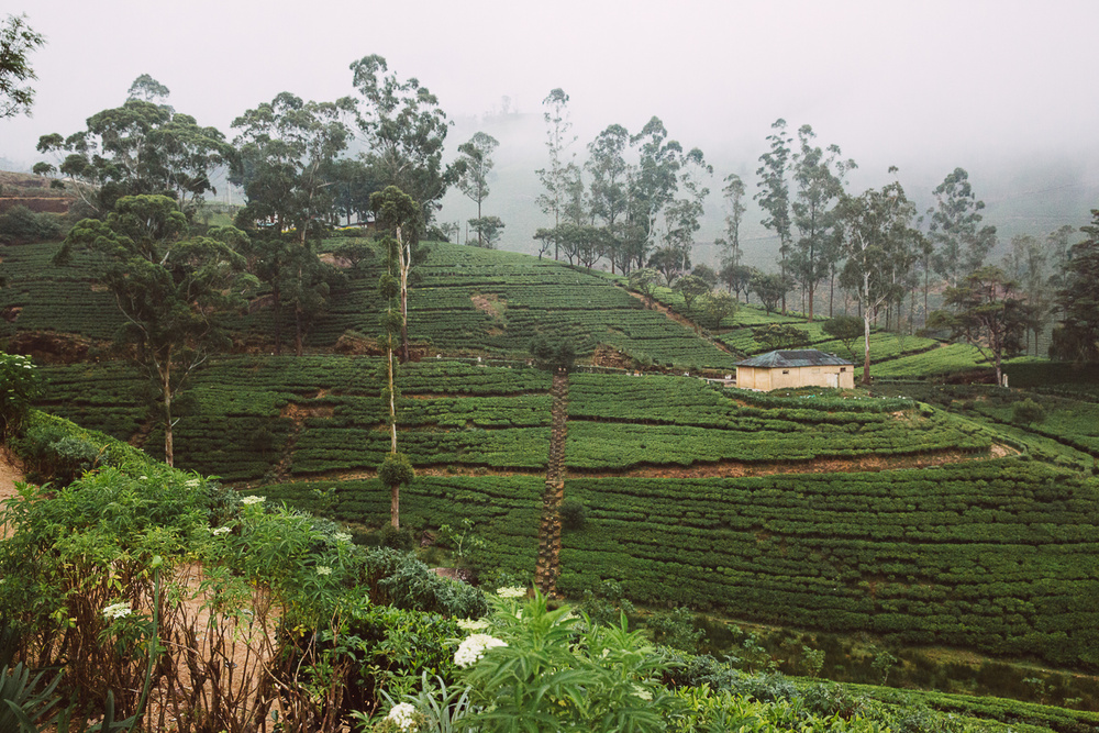 SRI LANKA