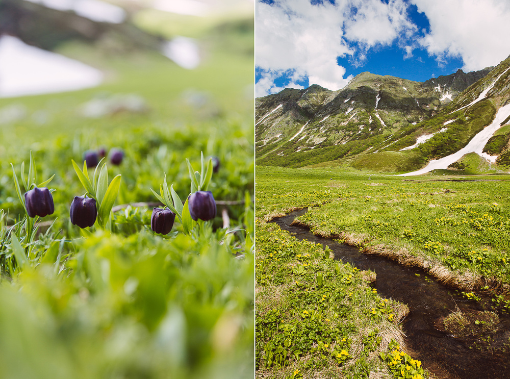 KRASNAYA POLYANA, RUSSIA