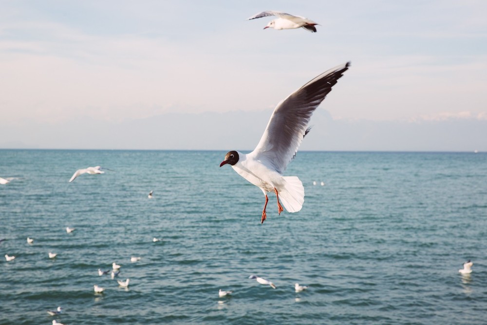 VERONA, SIRMIONE, DOLOMITS