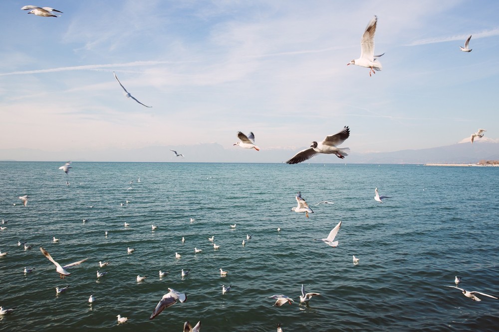 VERONA, SIRMIONE, DOLOMITS