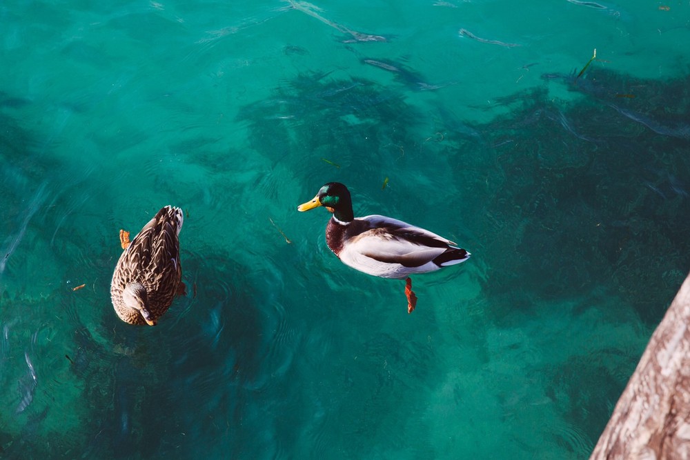 VERONA, SIRMIONE, DOLOMITS