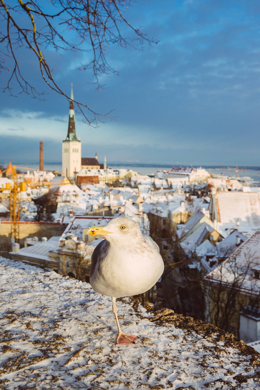 TALLIN, ESTONIA