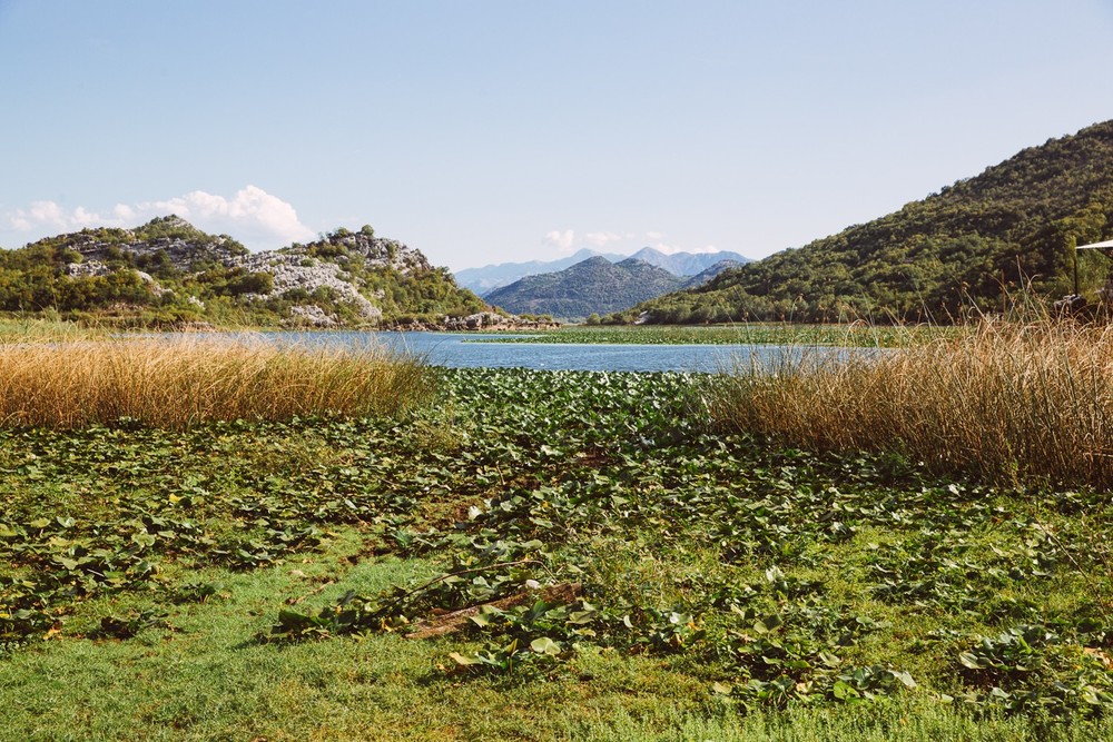 MONTENEGRO
