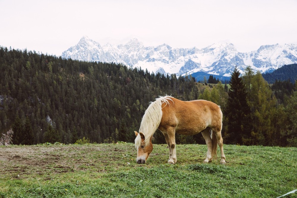 AUSTRIA