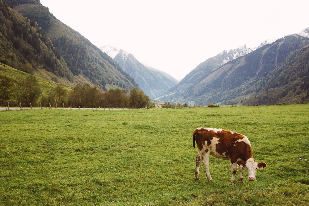 AUSTRIA