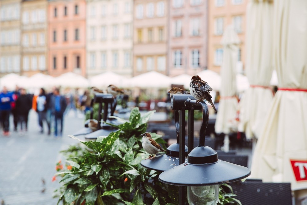 WARSAW, POLAND