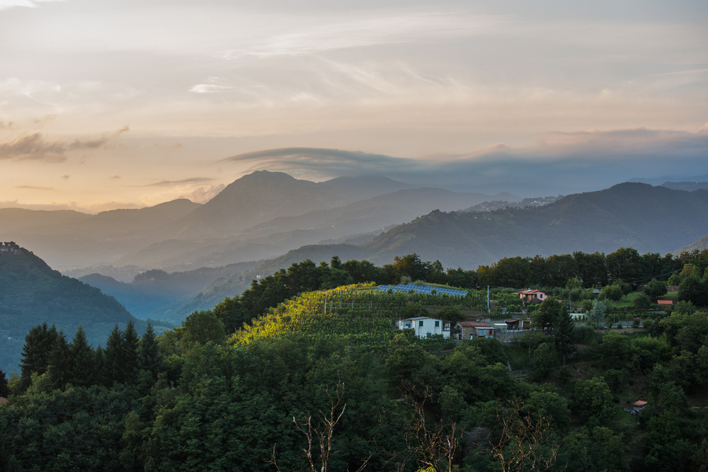 ITALY