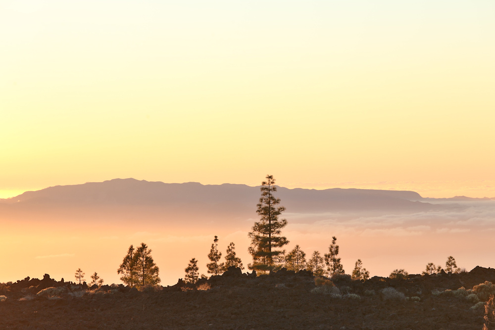 TENERIFE, SPAIN