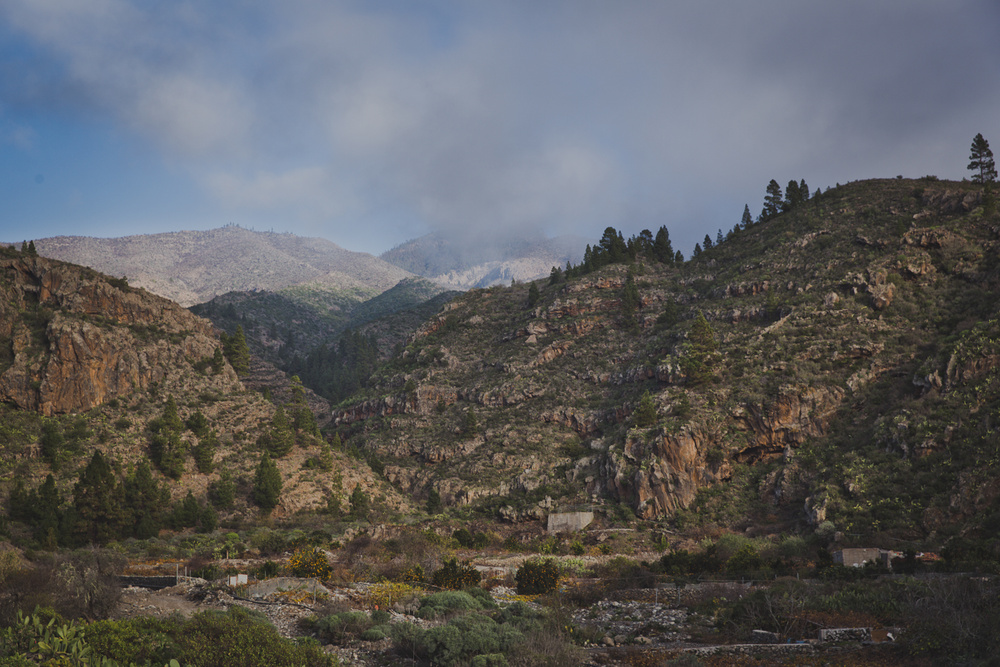 TENERIFE, SPAIN