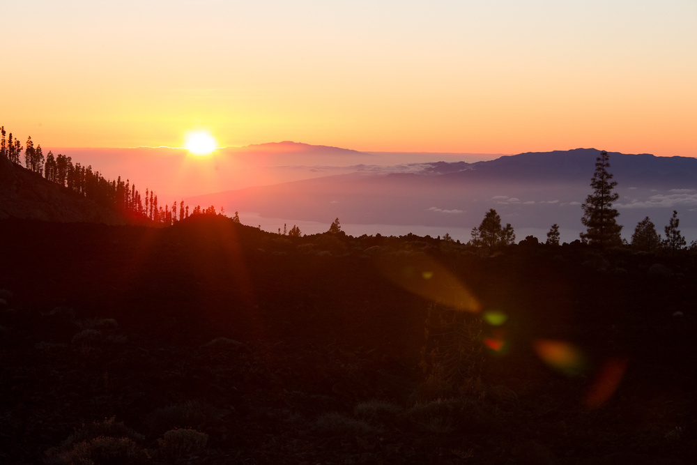 TENERIFE, SPAIN