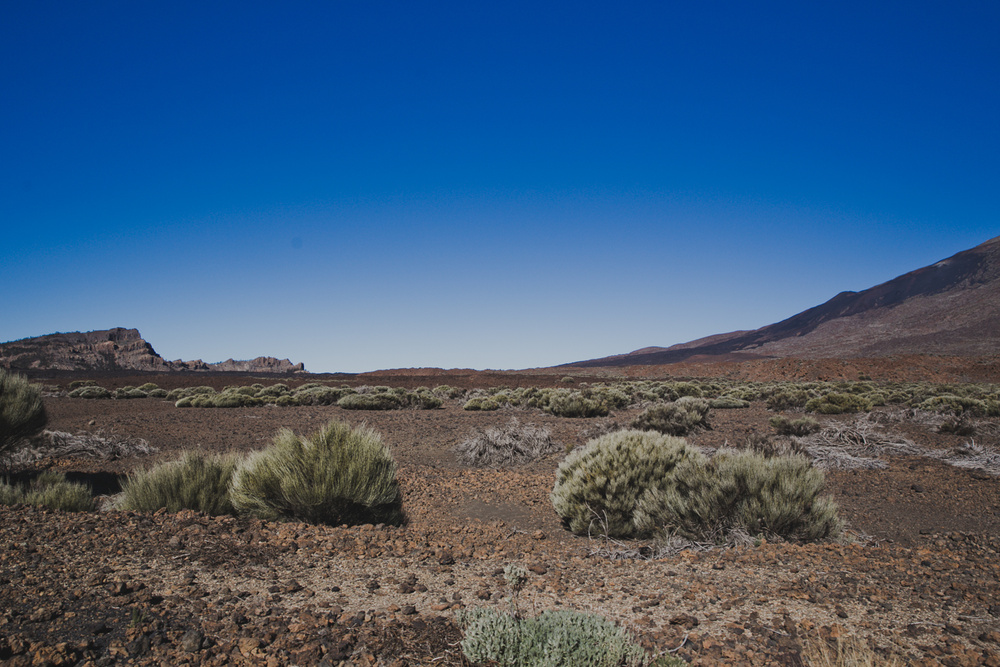 TENERIFE, SPAIN