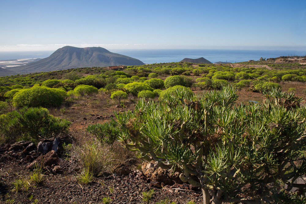TENERIFE, SPAIN