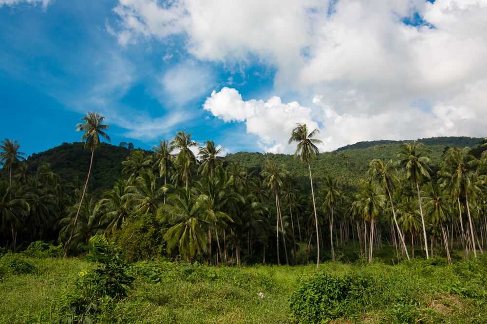 SAMUI/BANGKOK, THAILAND