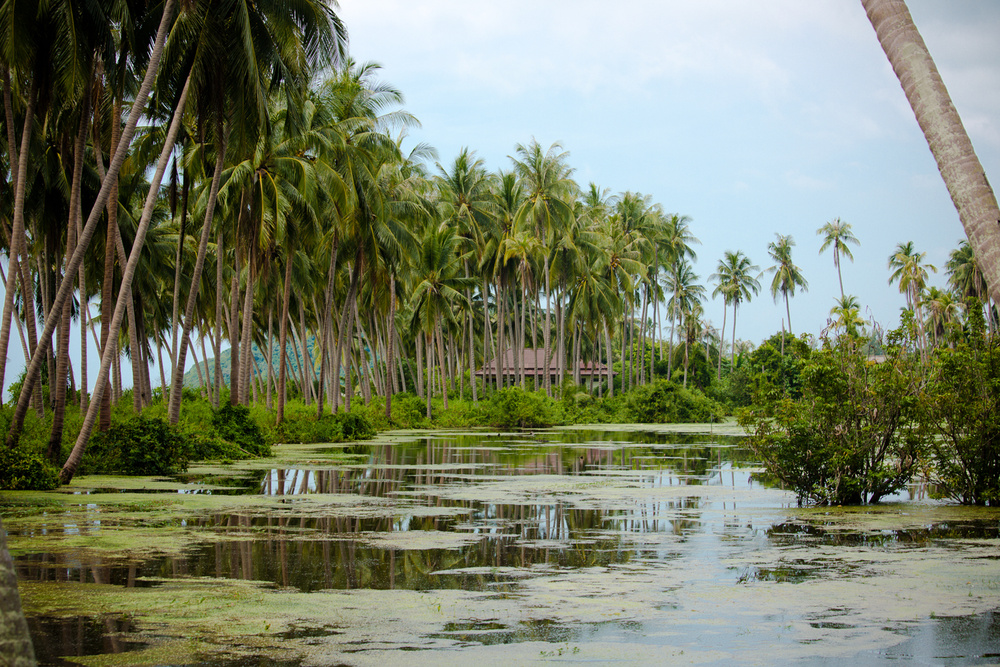SAMUI/BANGKOK, THAILAND
