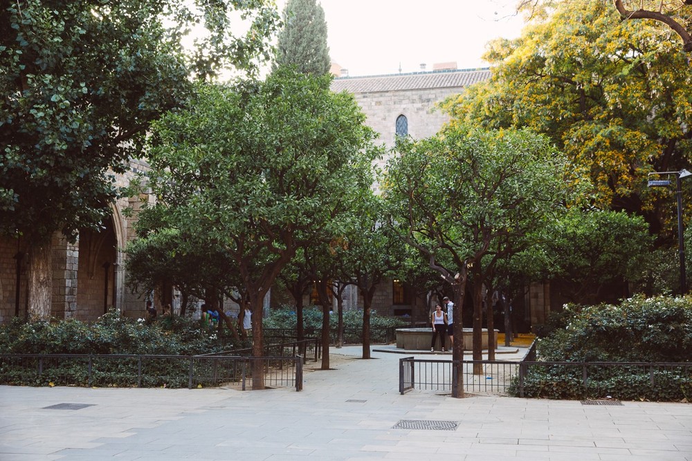 SPAIN