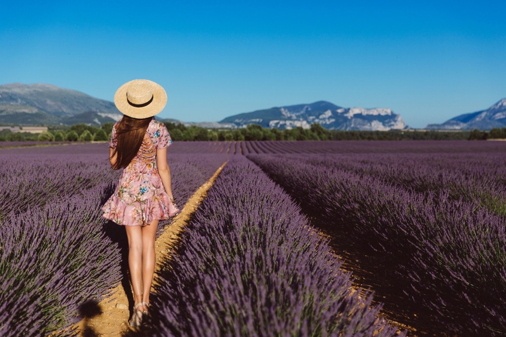 PROVENCE, FRANCE