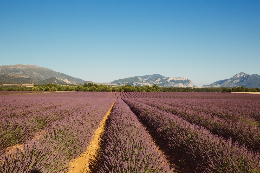 PROVENCE, FRANCE