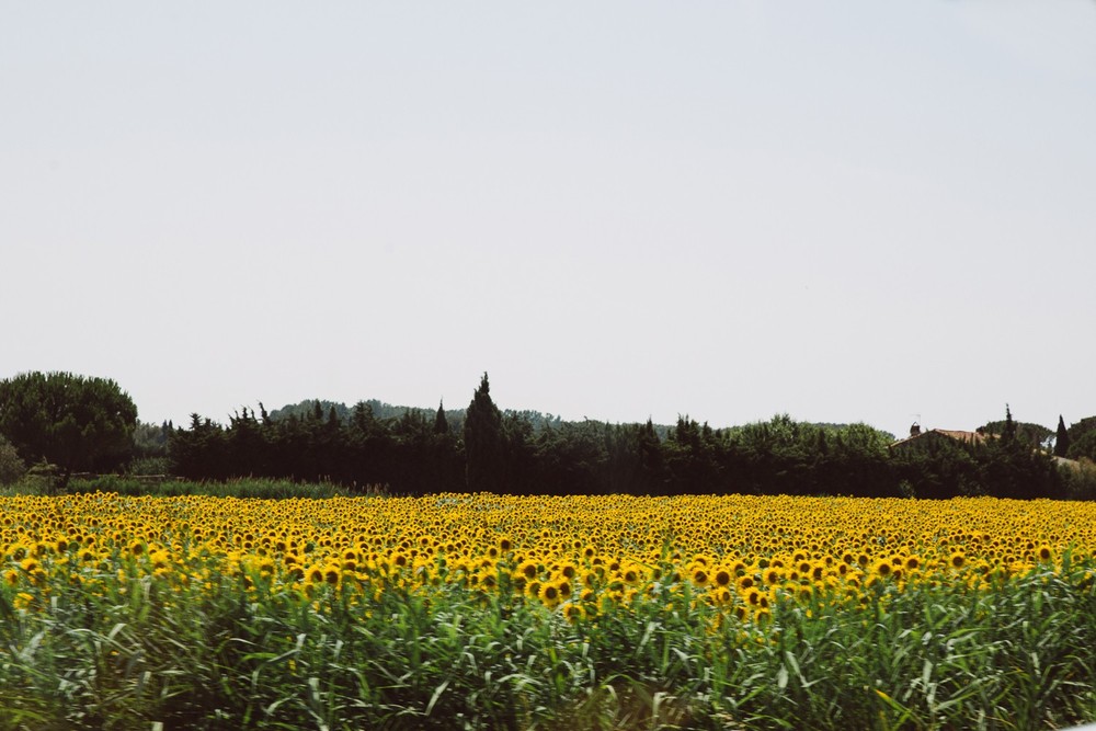 PROVENCE, FRANCE