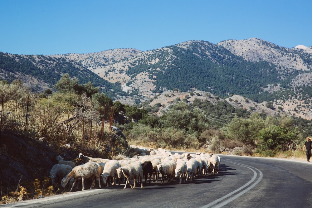 CRETE
