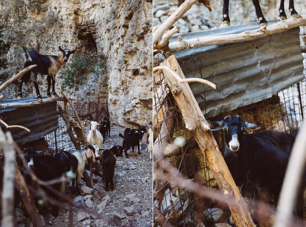 CRETE