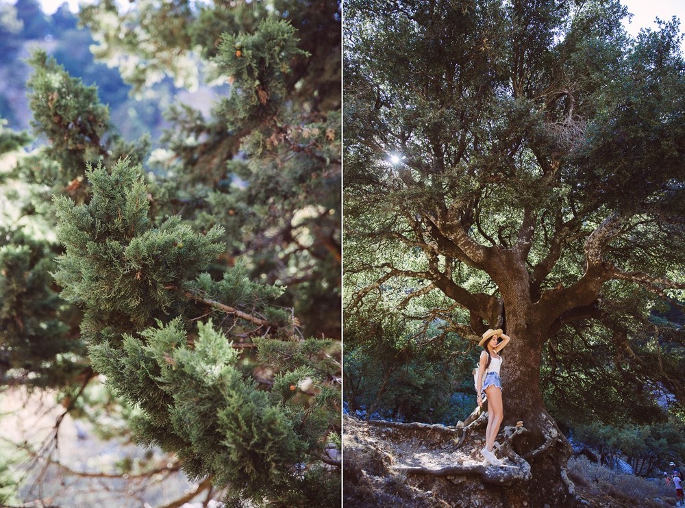 CRETE