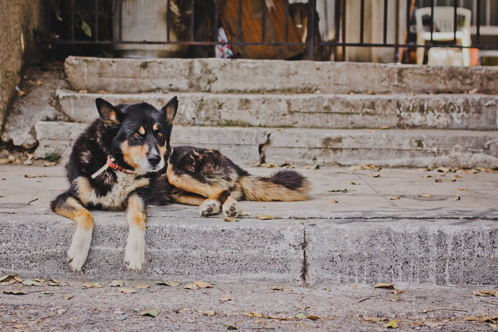 ATHENS, GREECE