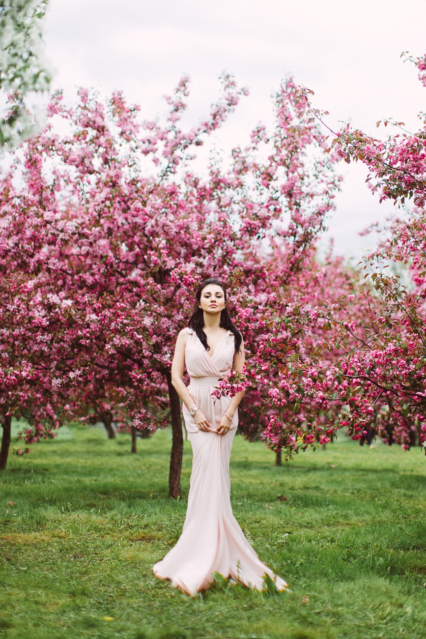 SPRING BLOSSOM 
