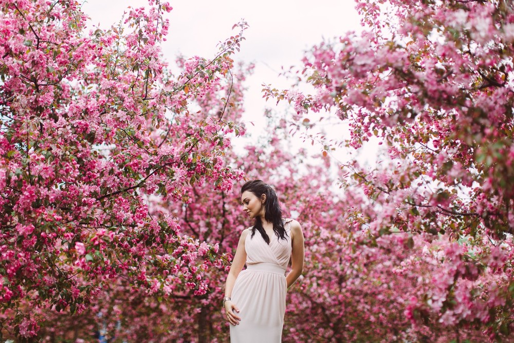 SPRING BLOSSOM 