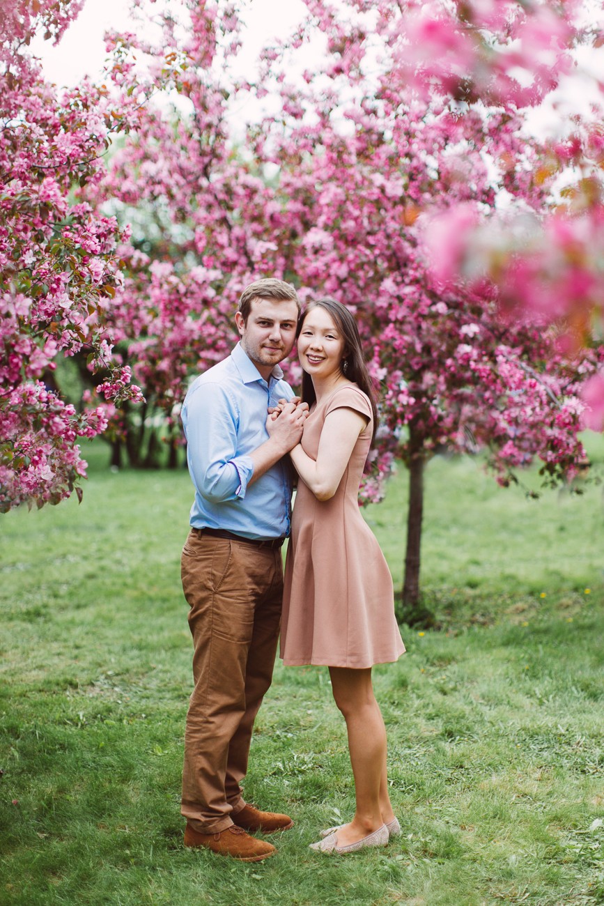 SPRING BLOSSOM 