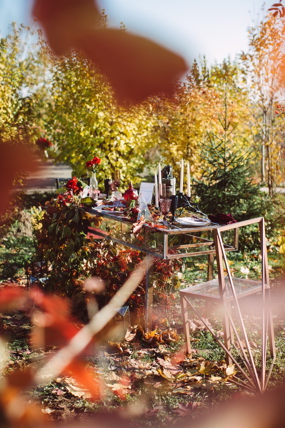 AUTUMN VIBES