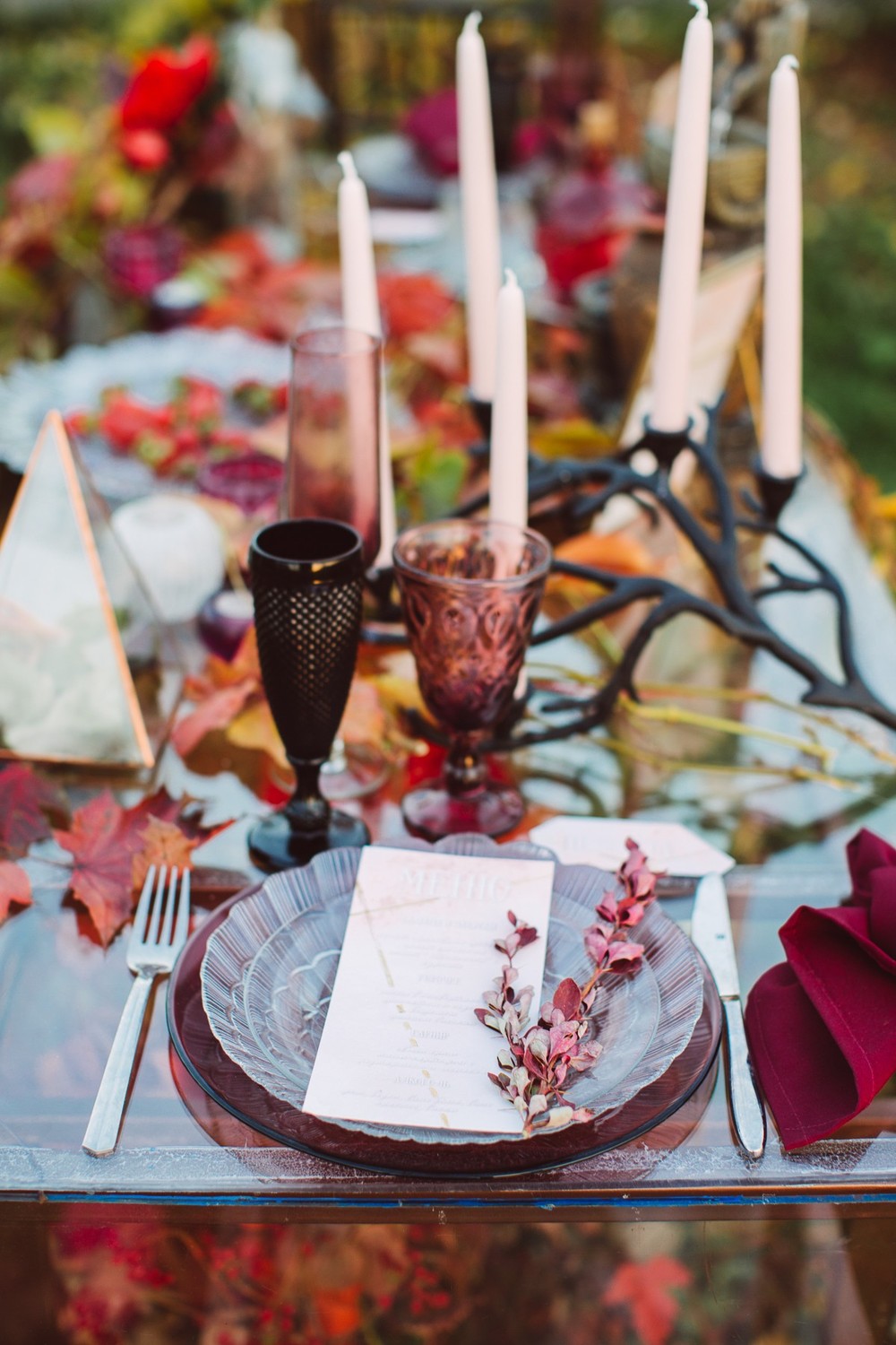 AUTUMN VIBES