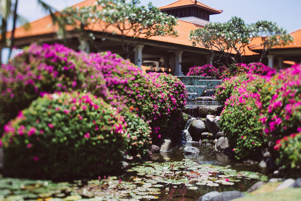 BALI