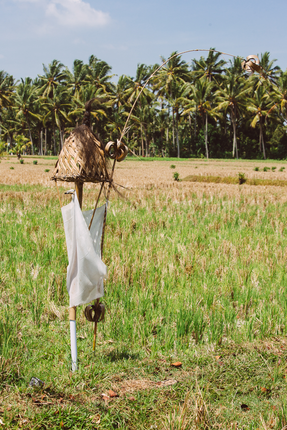 BALI