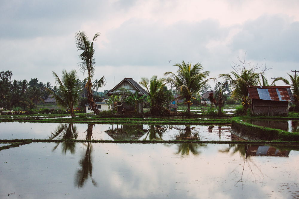 BALI