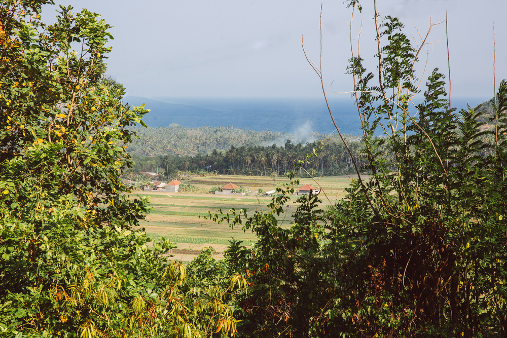 BALI