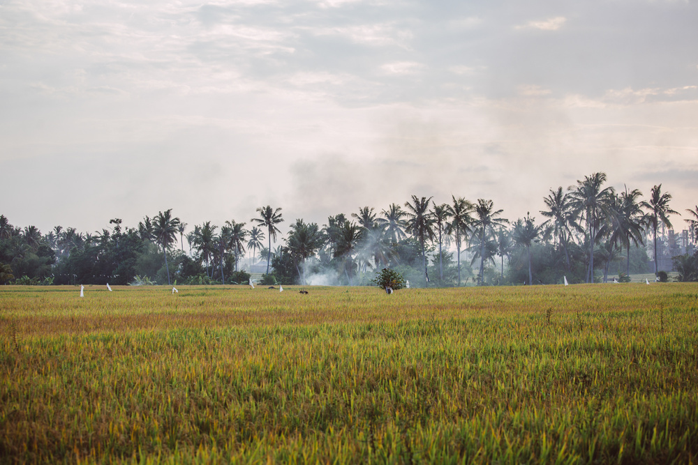 BALI