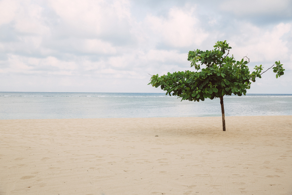 BALI
