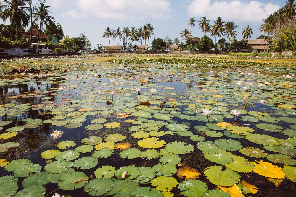 BALI