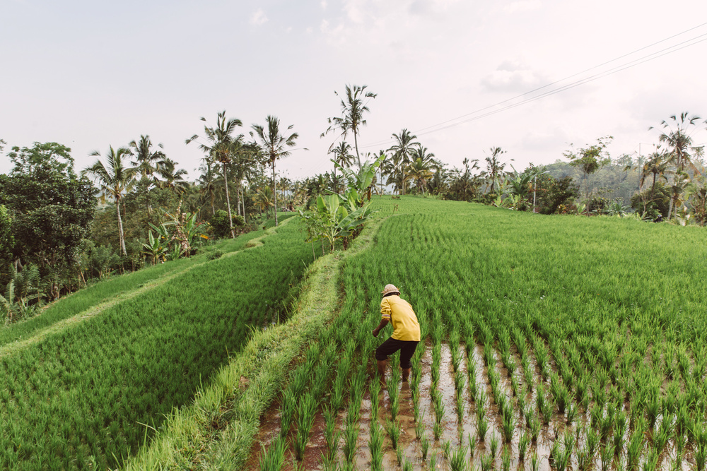 BALI