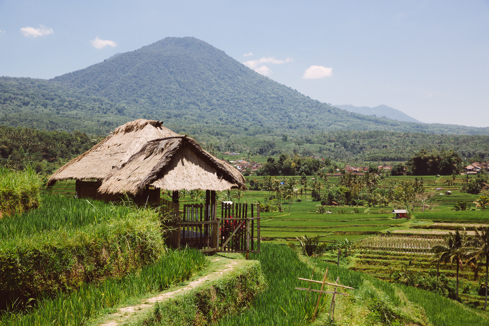 BALI