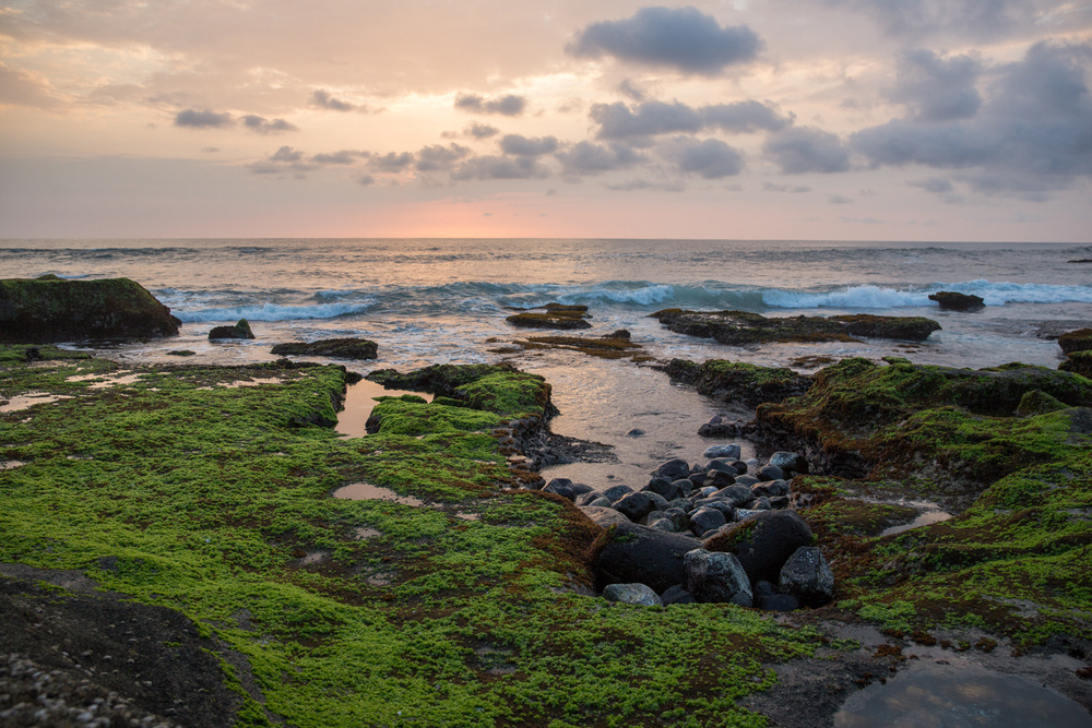 BALI