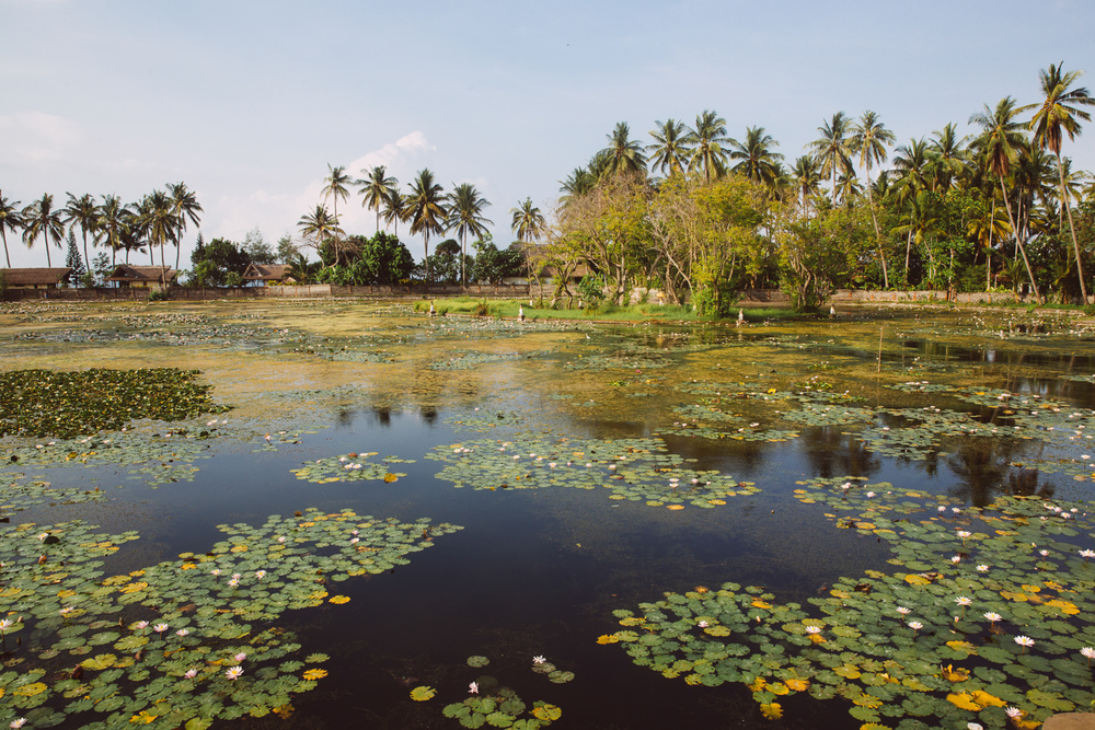 BALI