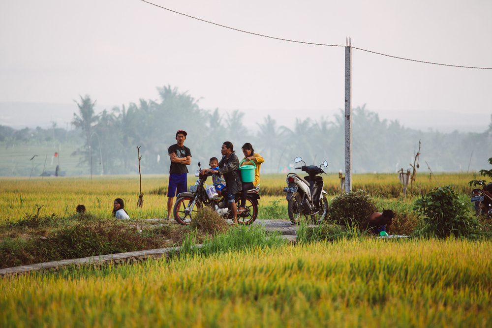 BALI