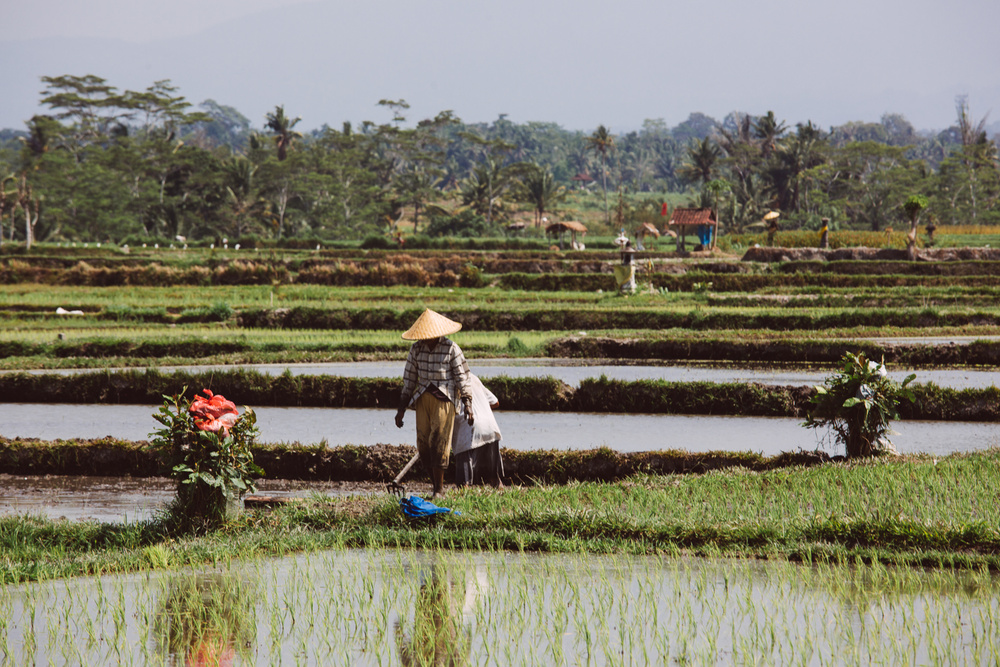 BALI