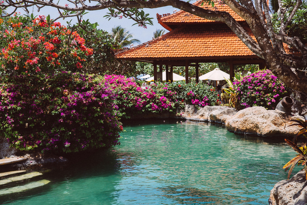 BALI