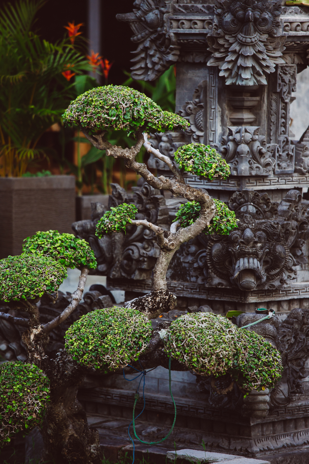 BALI